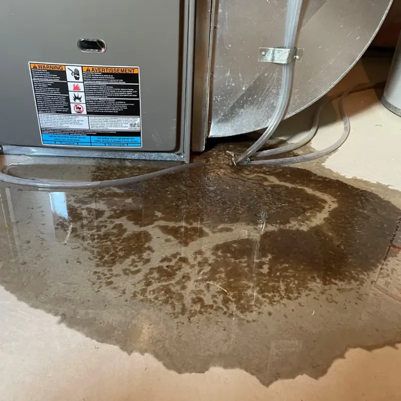 Appliance Leak Cleanup in Buffalo, MN